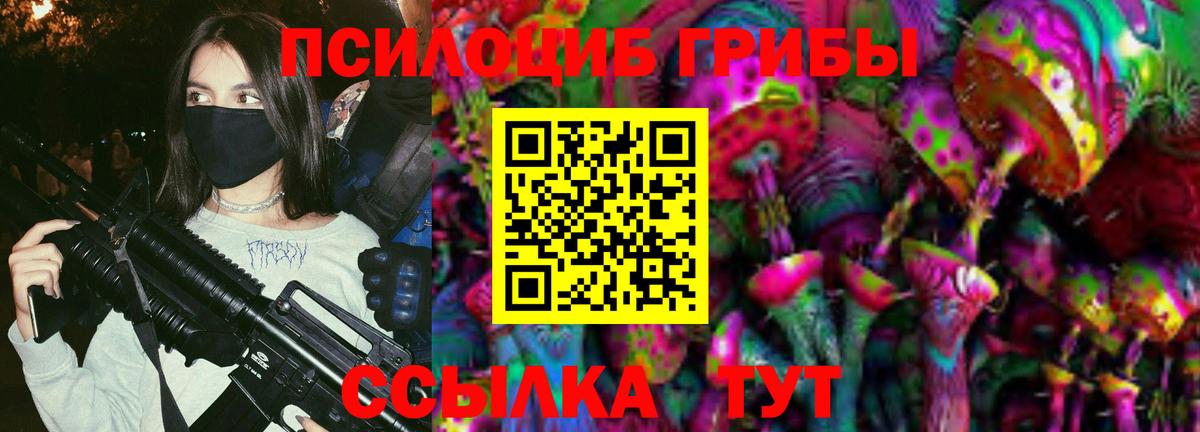 Галлюциногенные грибы Psilocybe  Вход с VPN  Димитровград 